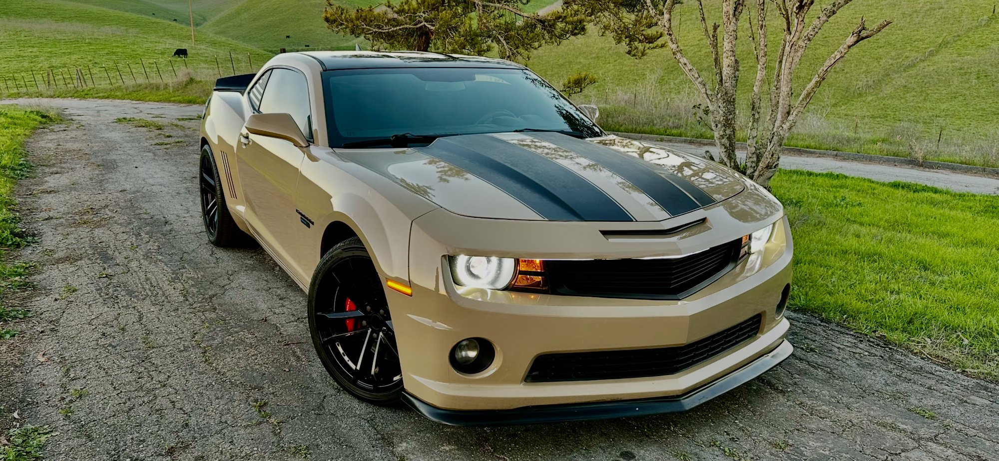 The Camaro - front view on country road
